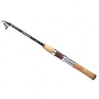 Спиннинг DAIWA Neo-Versal 565TLFS 11402357